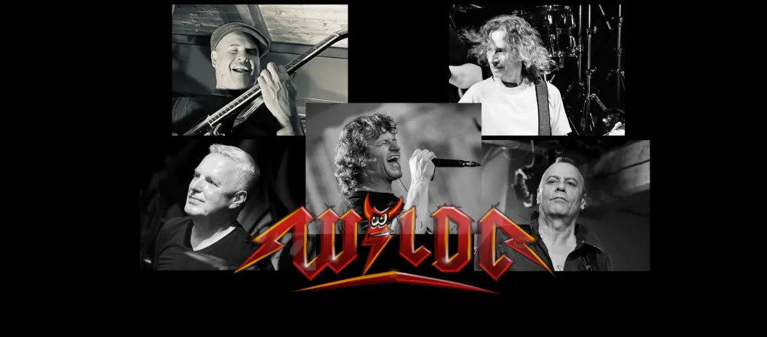 WilDC Band